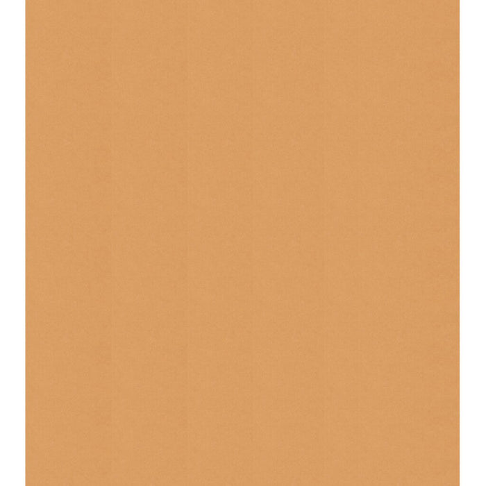Colorline Paper Sheets 8.5in x 11in 150gsm Leather