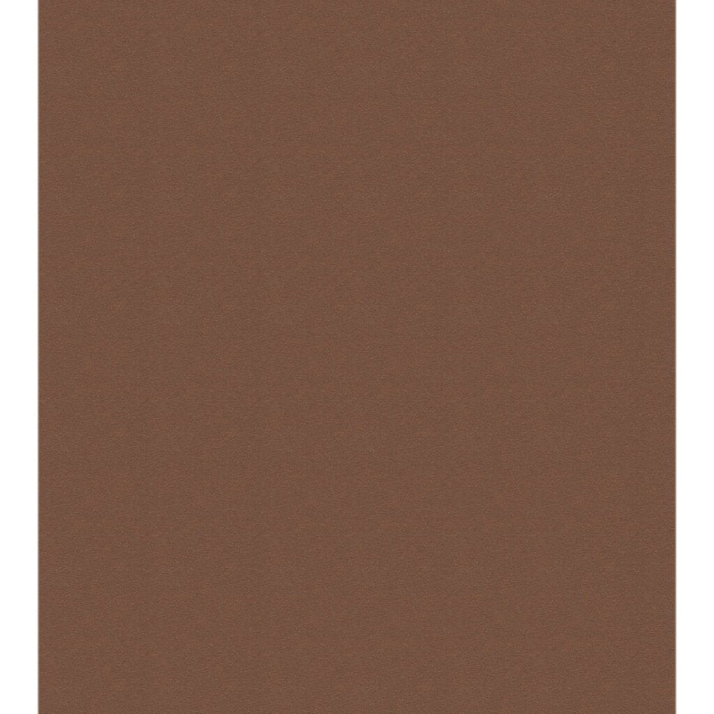 Colorline Paper Sheets 8.5in x 11in 150gsm Nut