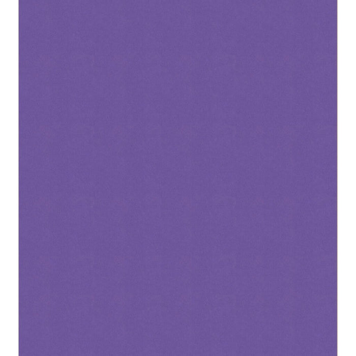 Colorline Paper Sheets 8.5in x 11in 150gsm Cobalt Violet