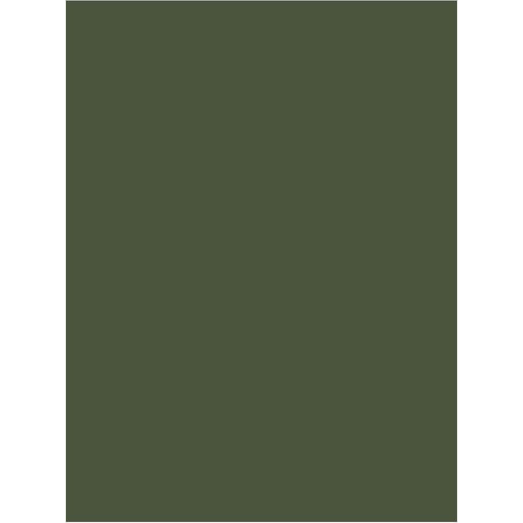 Colorline Paper Sheets 8.5in x 11in 150gsm Khaki Green