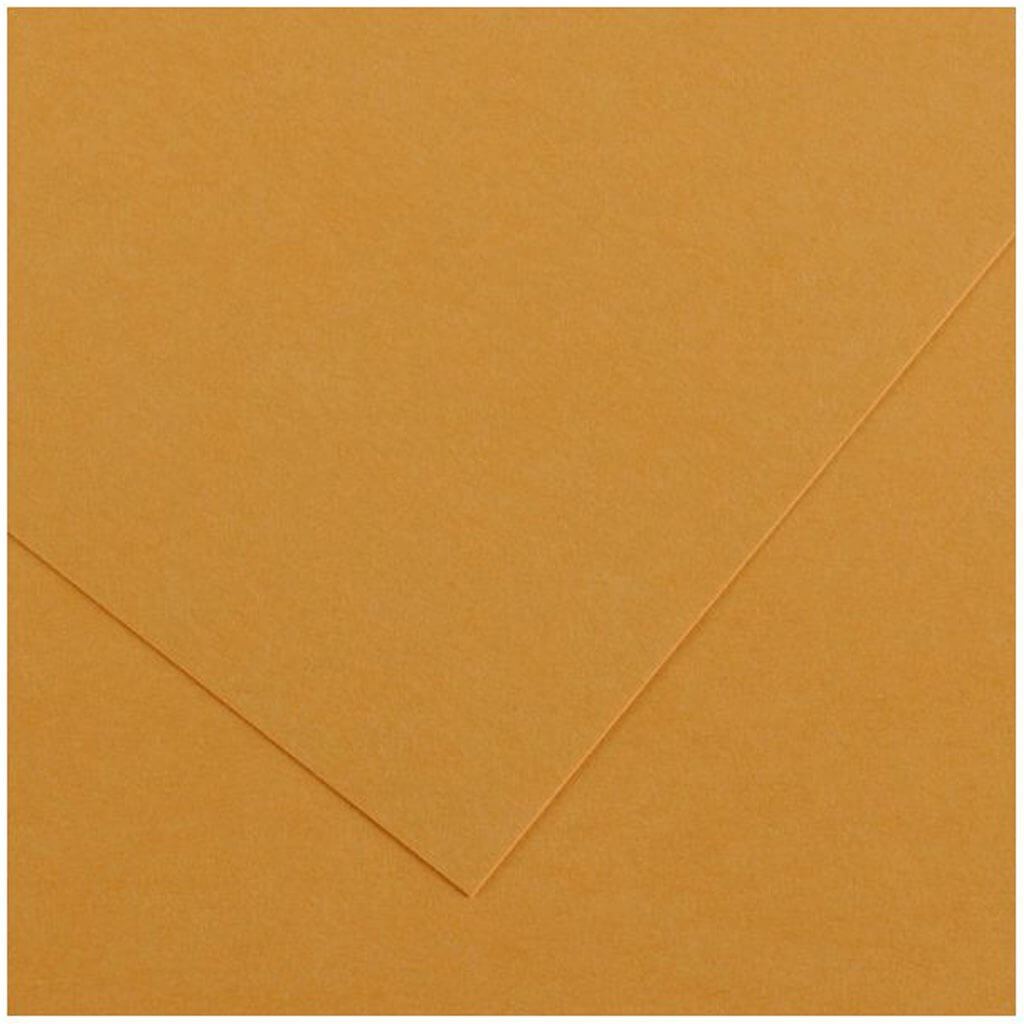 Colorline Paper Sheets 8.5in x 11in 300gsm Leather