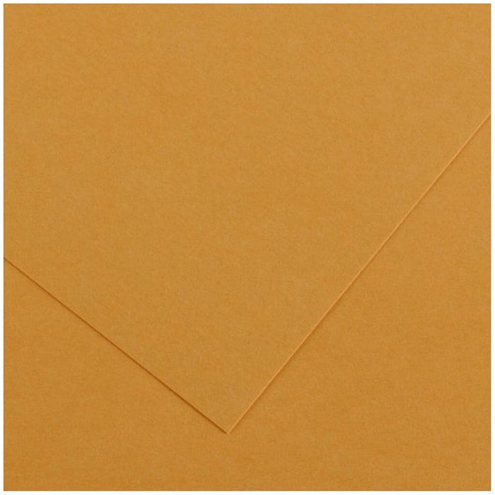 Colorline Paper Sheets 8.5in x 11in 300gsm Leather