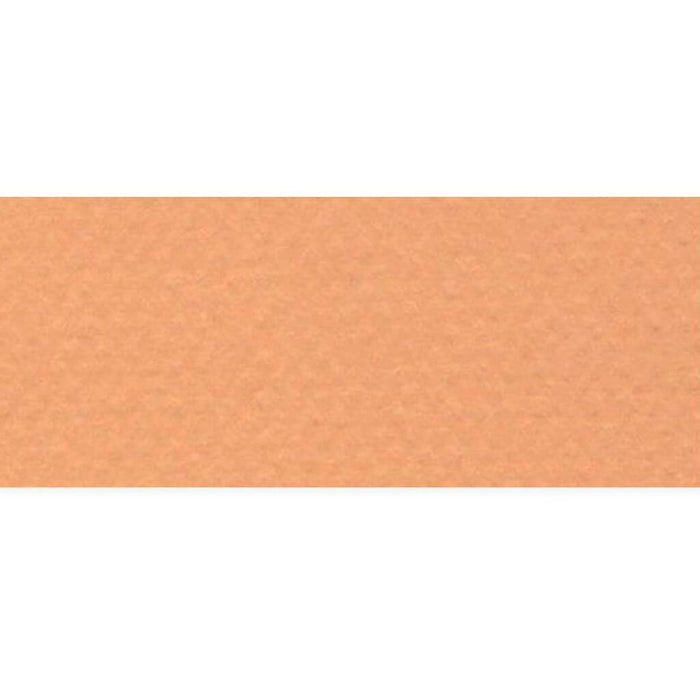 Mi-Teintes Paper Sheet 8.5in x 11in Buff
