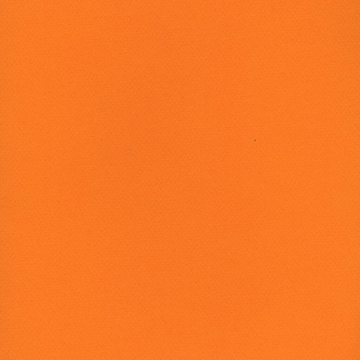 Mi-Teintes Paper Sheet 8.5in x 11in Cadmium Yellow Deep