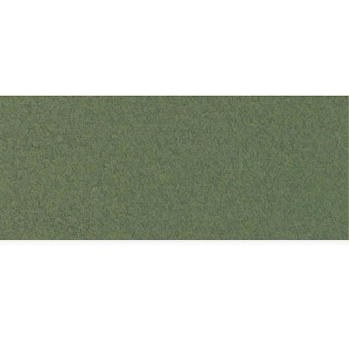 Mi-Teintes Paper Sheet 8.5in x 11in Ivy