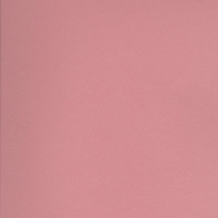 Mi-Teintes Paper Sheet 19in x 25in Orchid