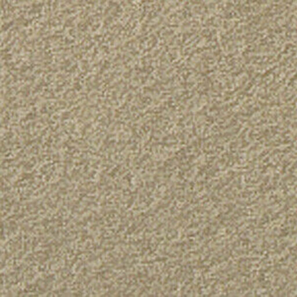 Mi-Teintes Paper Sheet 19in x 25in Sand