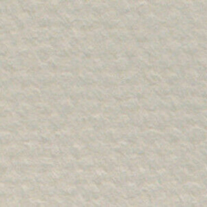 Mi-Teintes Paper Sheet 19in x 25in Pearl