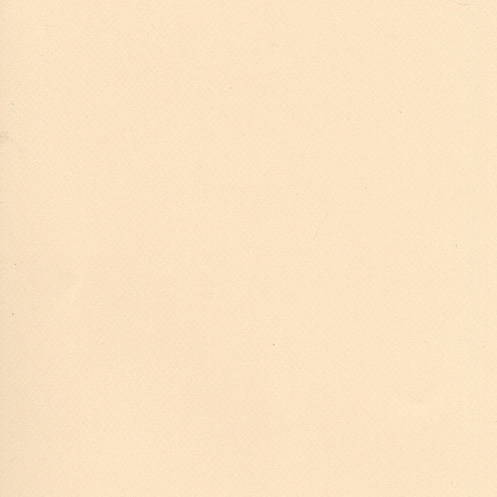 Mi-Teintes Paper Sheet 19in x 25in Ivory
