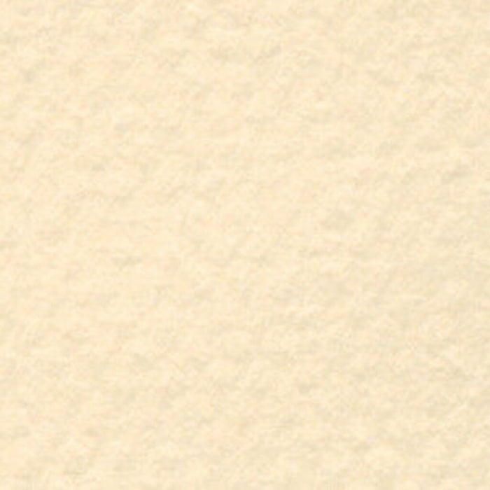 Mi-Teintes Paper Sheet 19in x 25in Cream