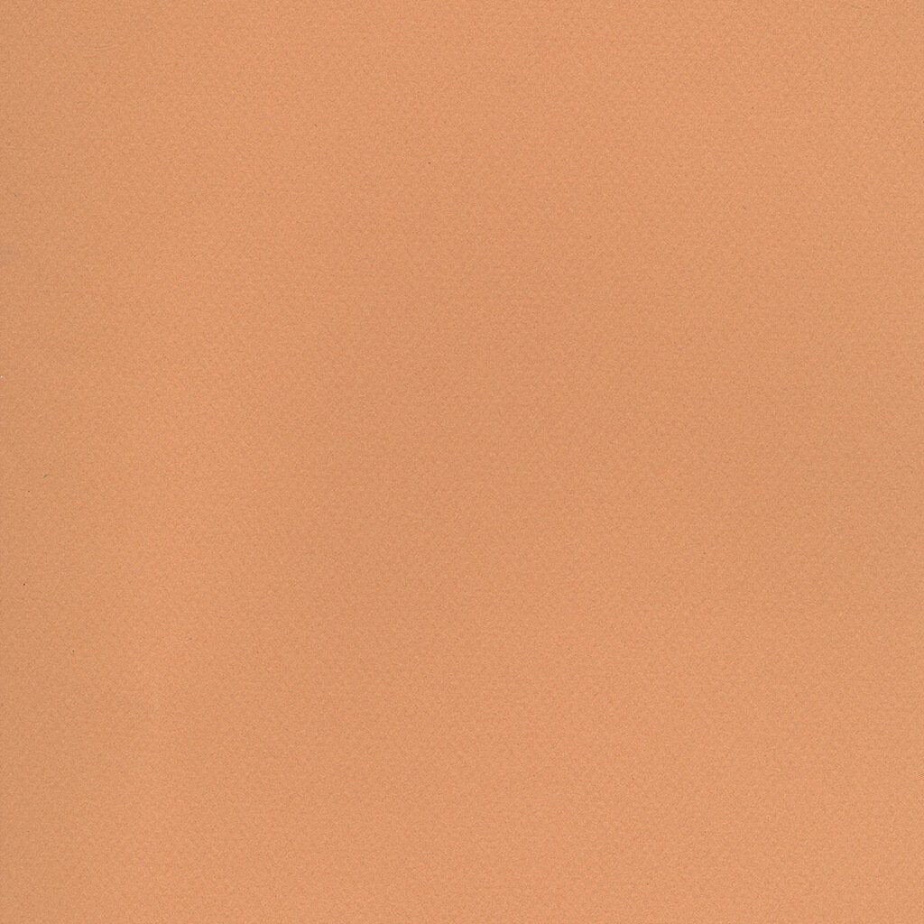 Mi-Teintes Paper Sheet 19in x 25in Hemp