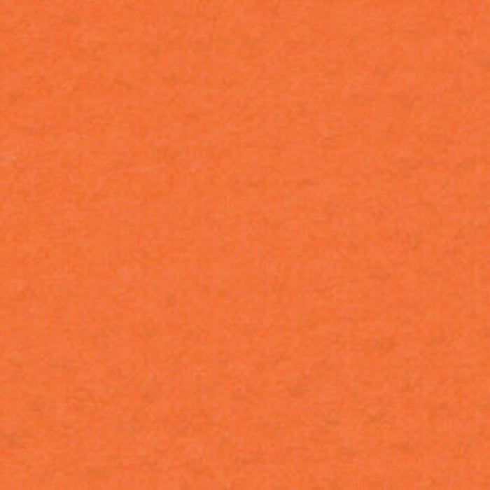 Mi-Teintes Paper Sheet 19in x 25in Orange
