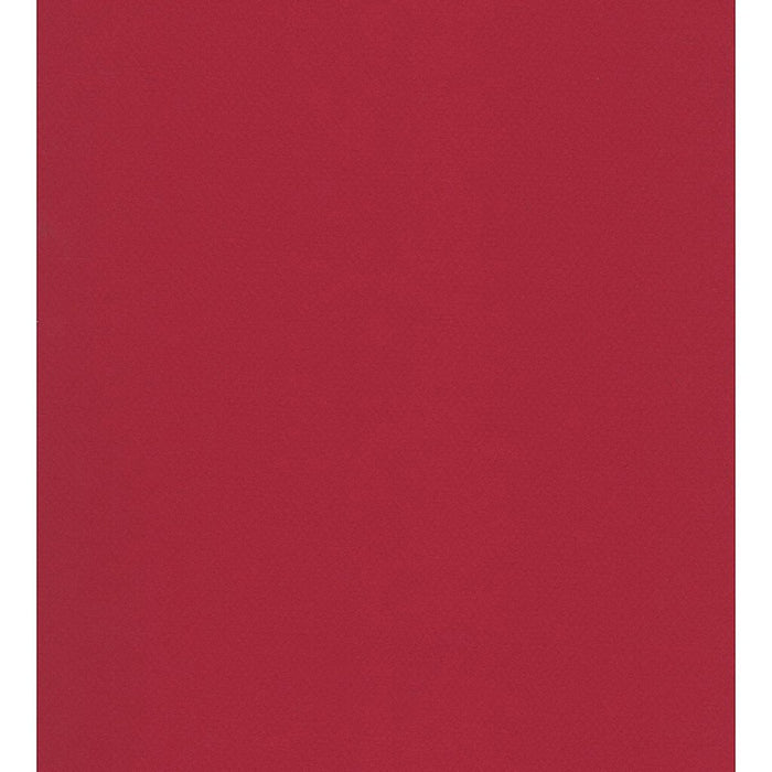 Mi-Teintes Paper Sheet 19in x 25in Bordeaux