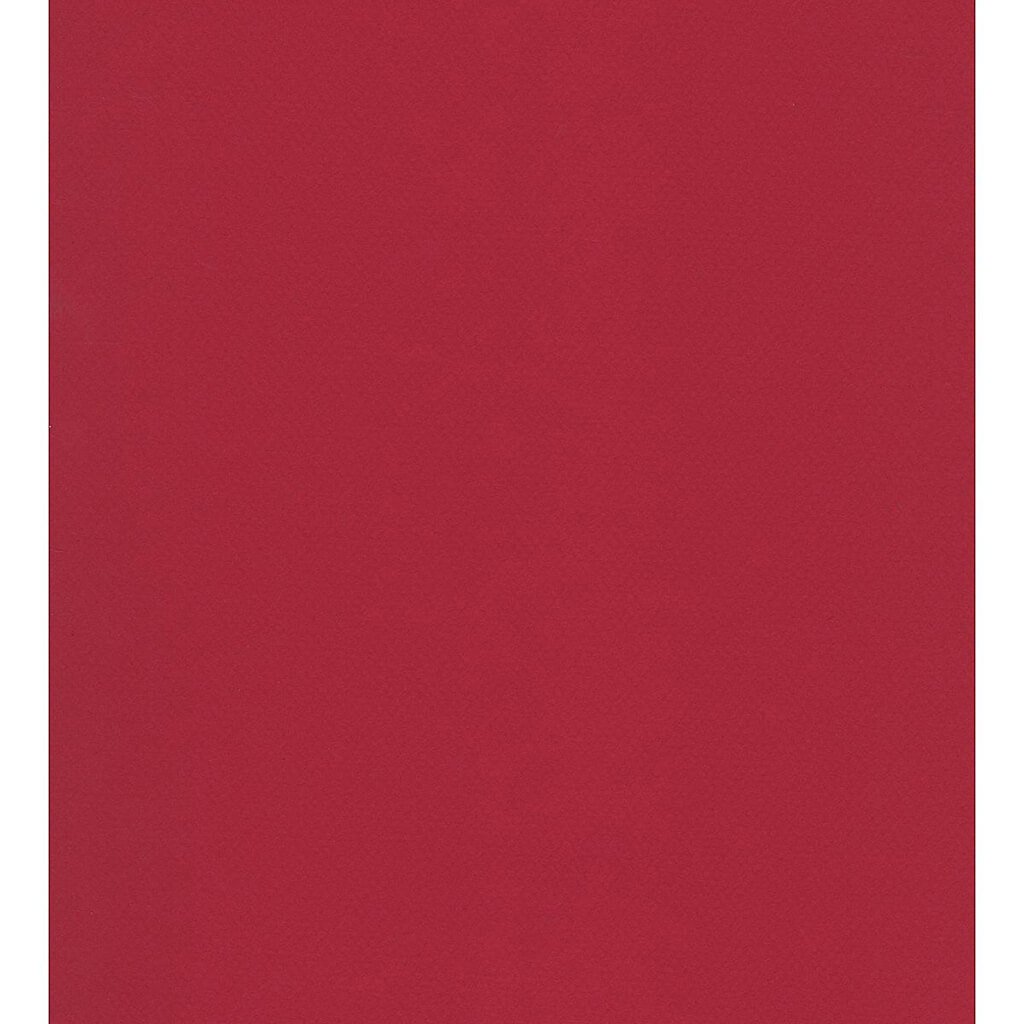 Mi-Teintes Paper Sheet 19in x 25in Bordeaux
