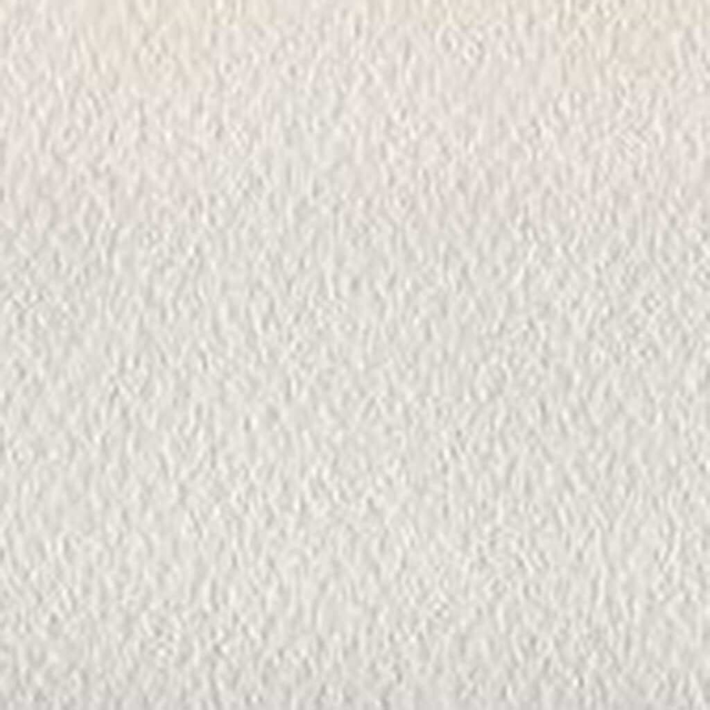 Mi-Teintes Paper Sheet 19in x 25in White