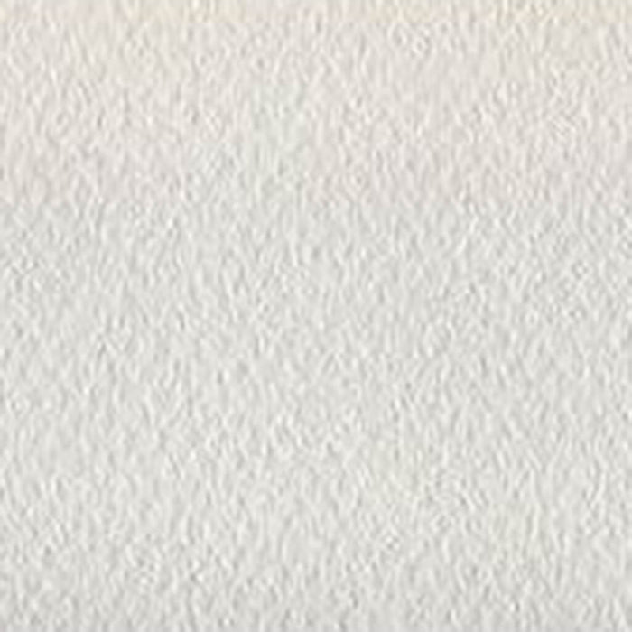 Mi-Teintes Paper Sheet 19in x 25in White