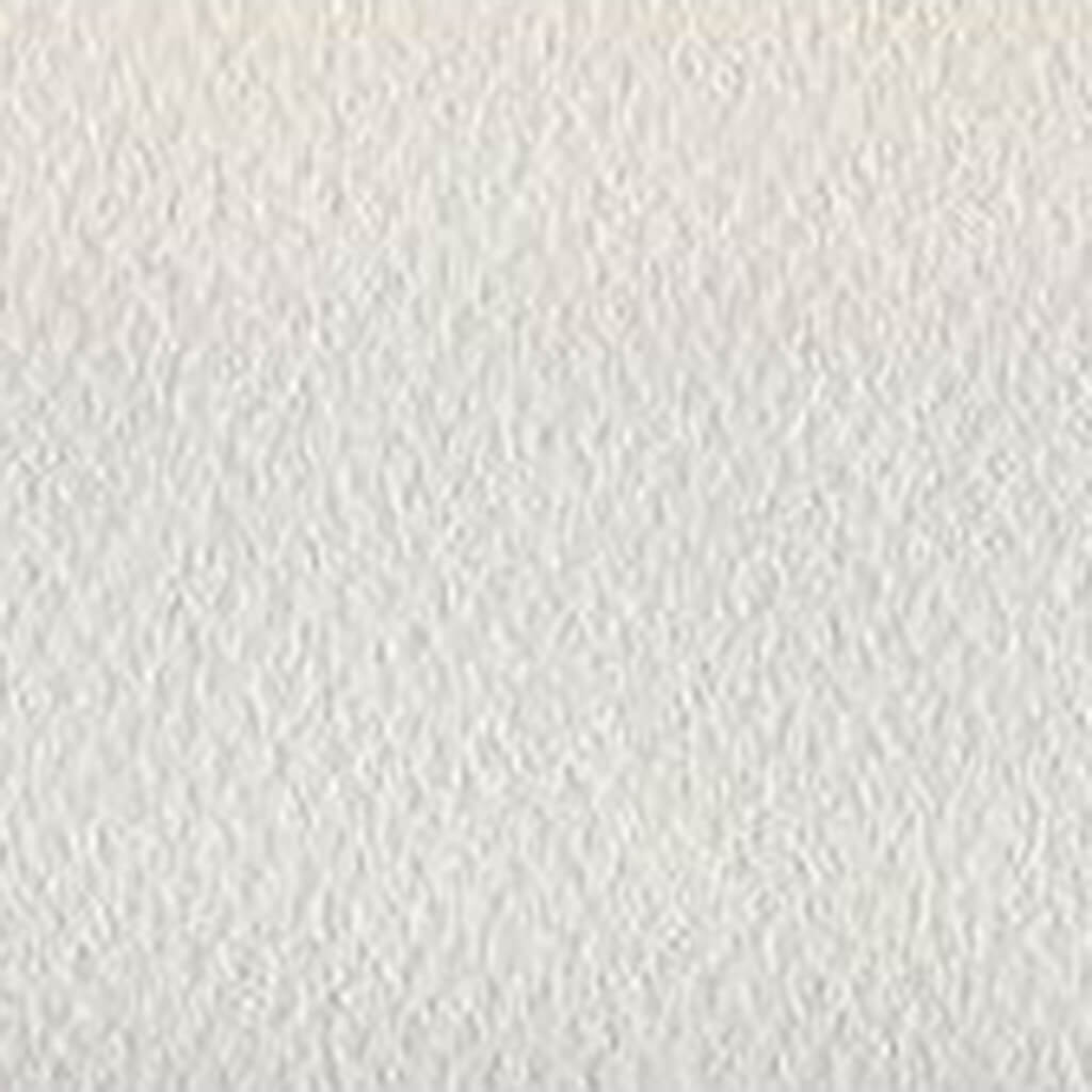 Mi-Teintes Paper Sheet 19in x 25in White