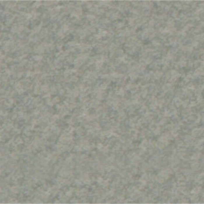 Mi-Teintes Paper Sheet 19in x 25in Steel Gray