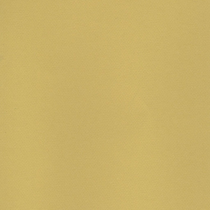 Mi-Teintes Paper Sheet 19in x 25in Anise