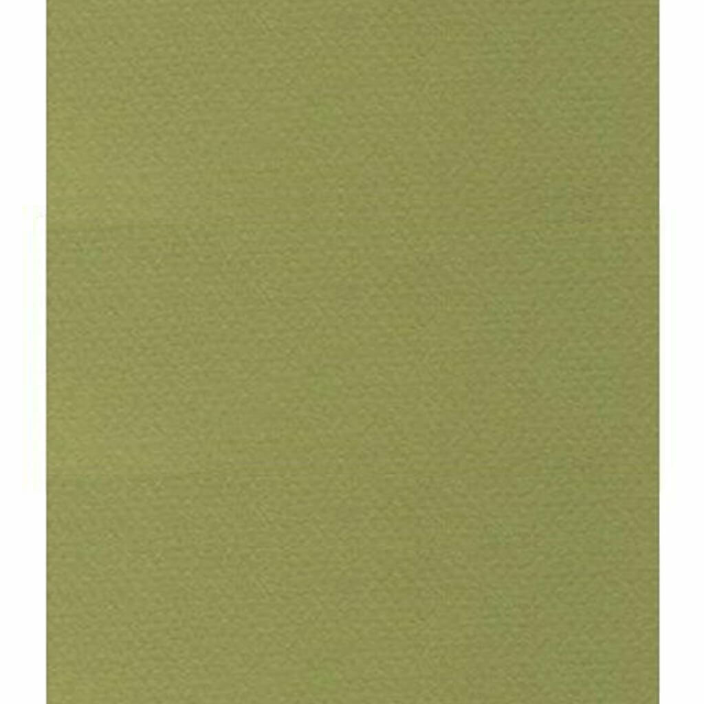 Mi-Teintes Paper Sheet 19in x 25in Light Green