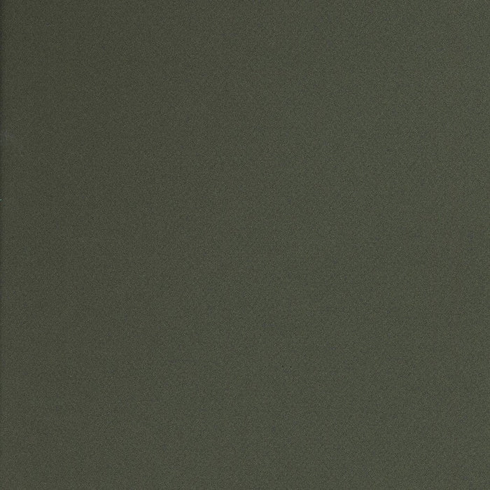 Mi-Teintes Paper Sheet 19in x 25in Ivy