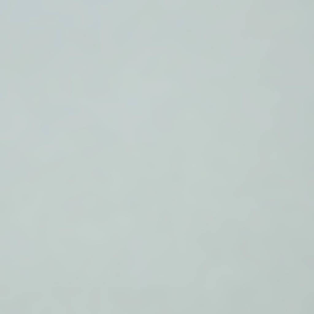 Mi-Teintes Paper Sheet 19in x 25in Sky Blue