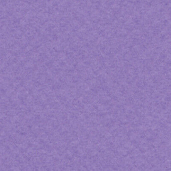 Mi-Teintes Paper Sheet 19in x 25in Parma