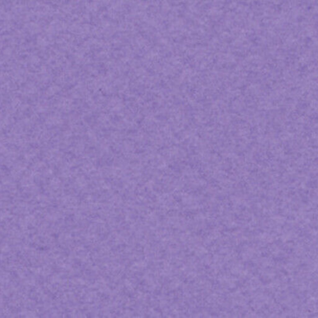 Mi-Teintes Paper Sheet 19in x 25in Parma