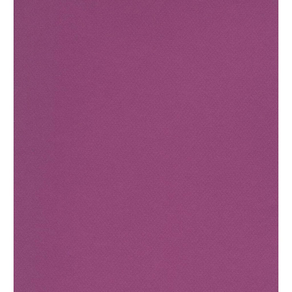 Mi-Teintes Paper Sheet 19in x 25in Violet