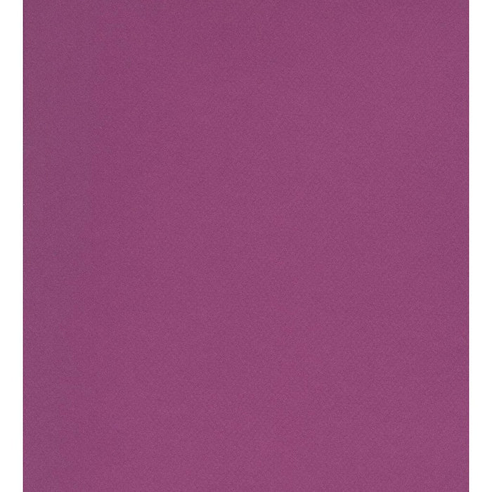 Mi-Teintes Paper Sheet 19in x 25in Violet