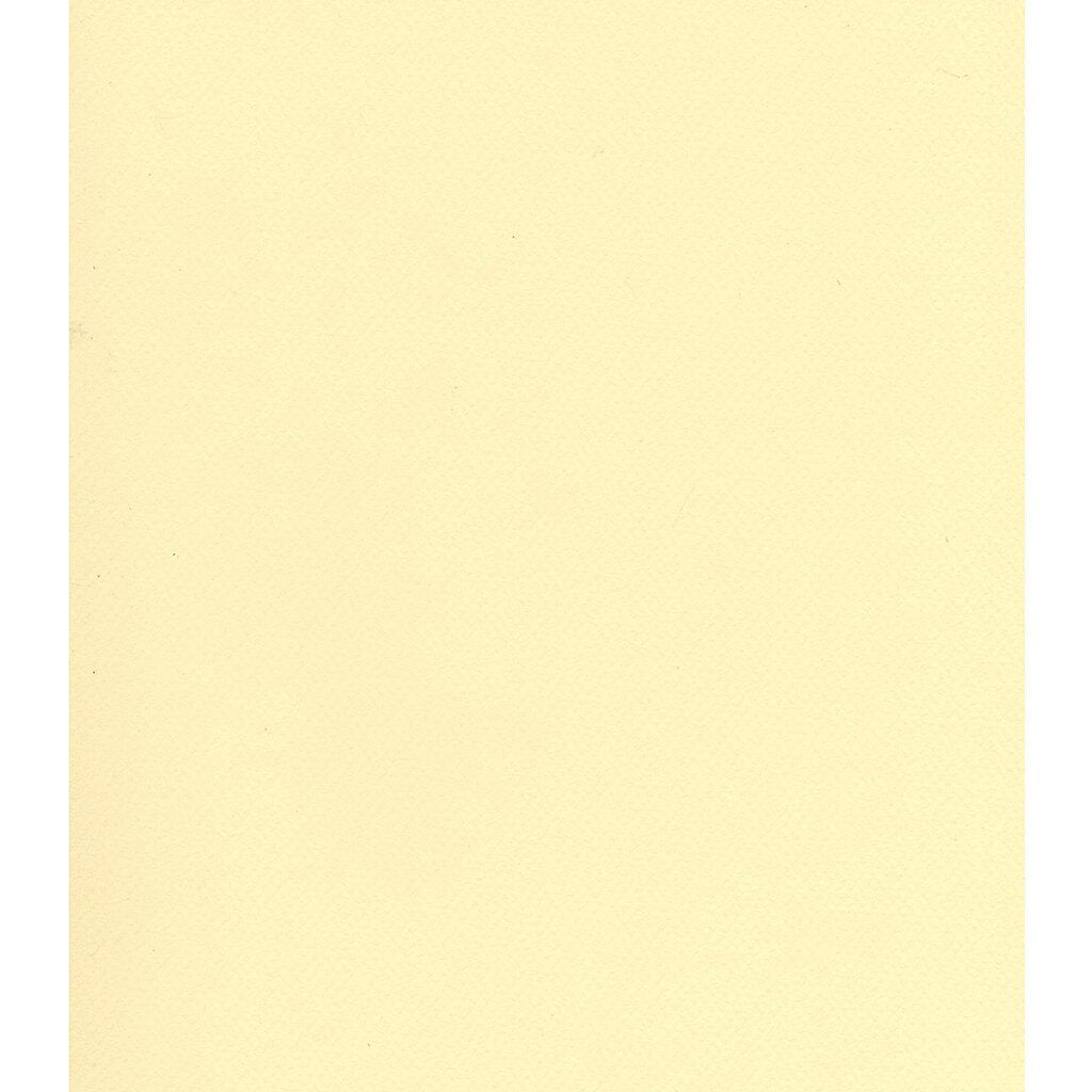 Mi-Teintes Paper Sheet 19in x 25in Pale Yellow