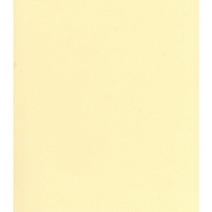 Mi-Teintes Paper Sheet 19in x 25in Pale Yellow