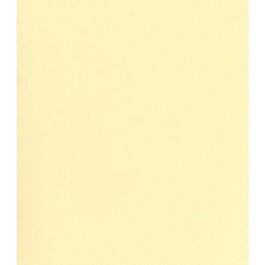 Mi-Teintes Paper Sheet 19in x 25in Pale Yellow
