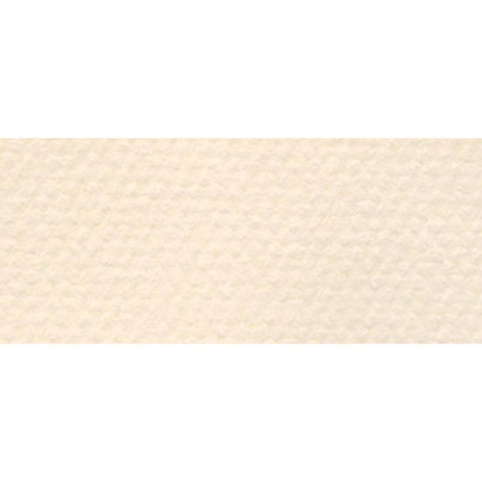 Canson Pastel Sheet Pad 8.5in x 11in Egg Shell