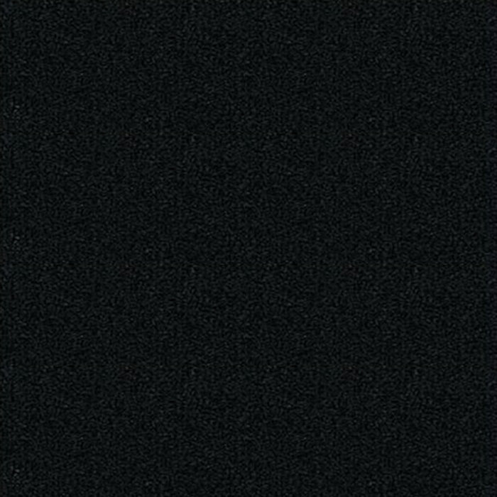 Canson Ingres Paper 27lb 19.5in x 25.5in Stygian Black