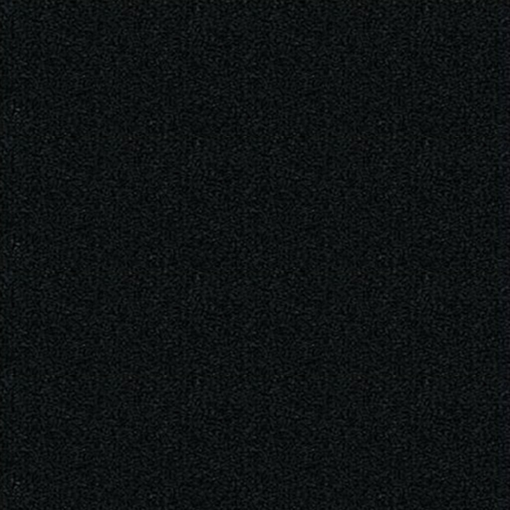 Canson Ingres Paper 27lb 19.5in x 25.5in Stygian Black