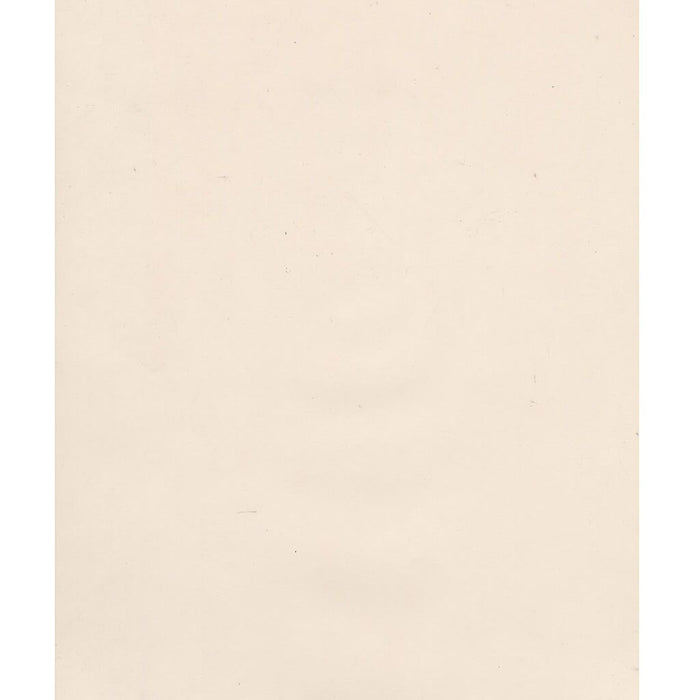 Opalux Translucent Paper 19in x 24in