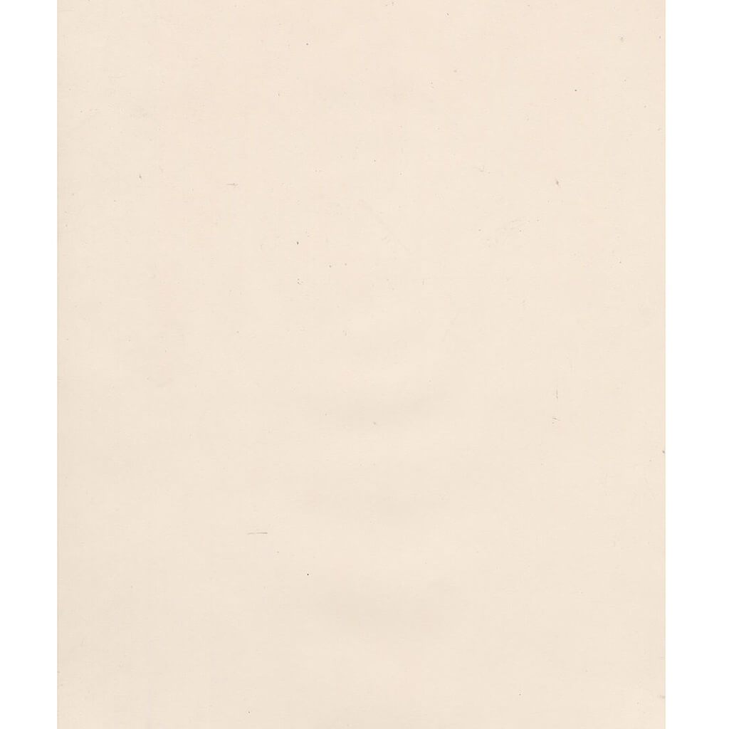 Opalux Translucent Paper 19in x 24in