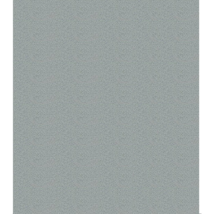 Canson Ingres Paper 27lb 19.5in x 25.5in Sky Blue