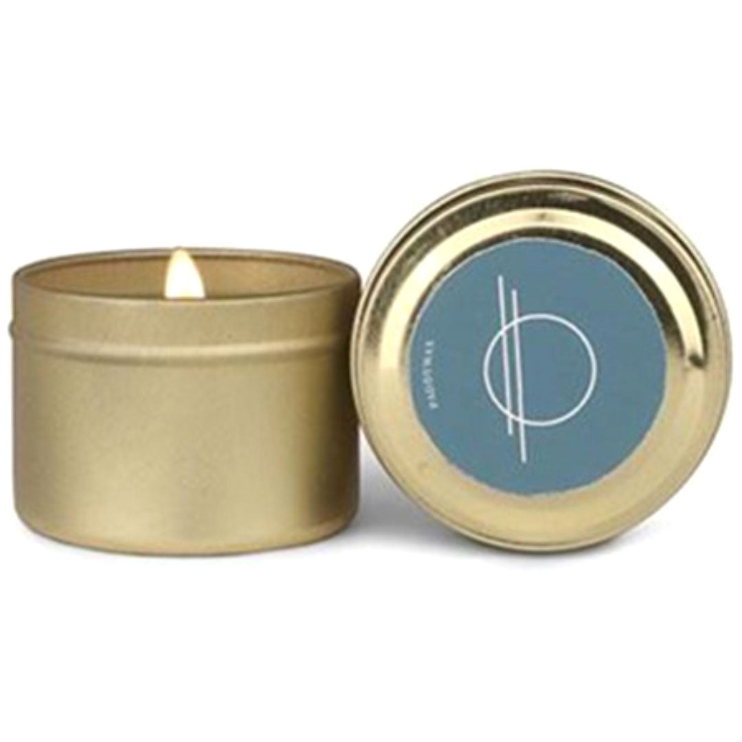 Paddywax Element Candle Saltwater &amp; Suede 2oz