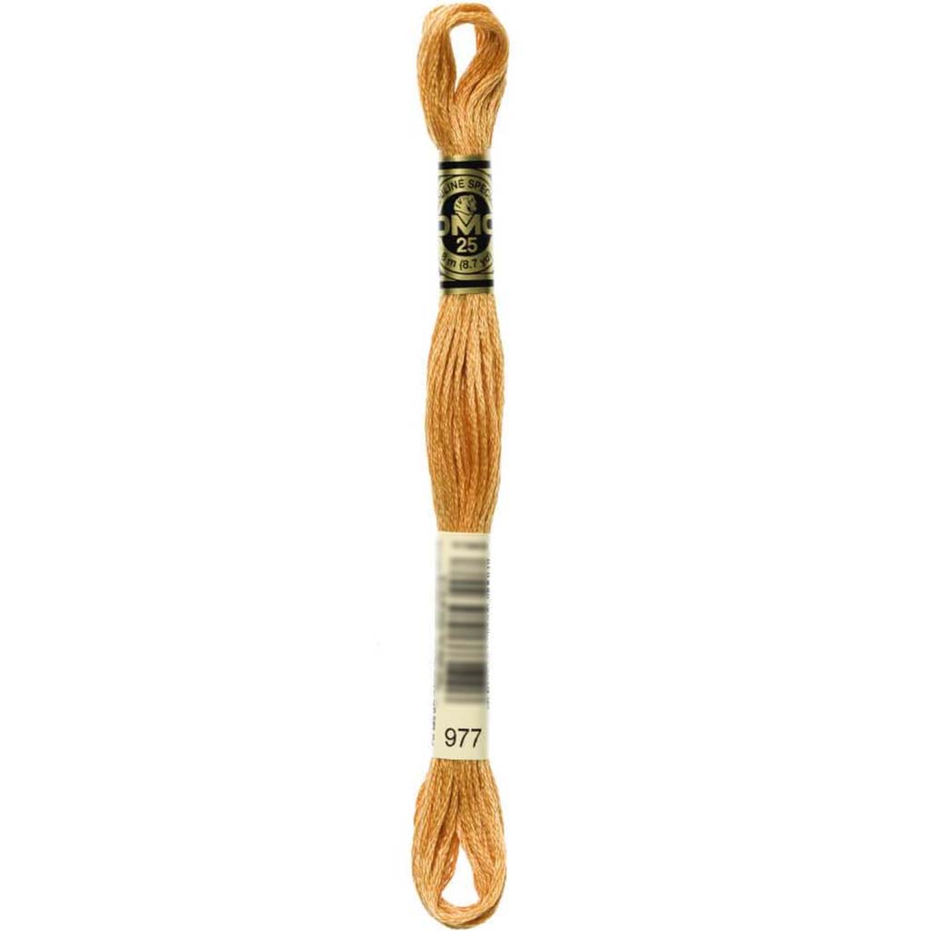 Dmc Floss Light Golden Brown Brown 