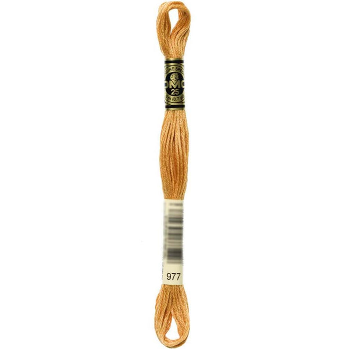Dmc Floss Light Golden Brown Brown 