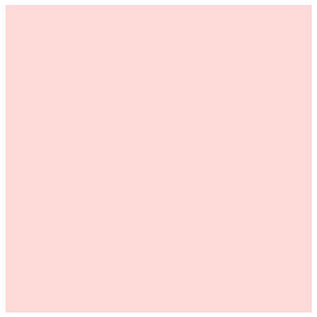 Cardstock Bazzill Card Shoppe Heavyweight 8.5in x 11in Rose Quartz