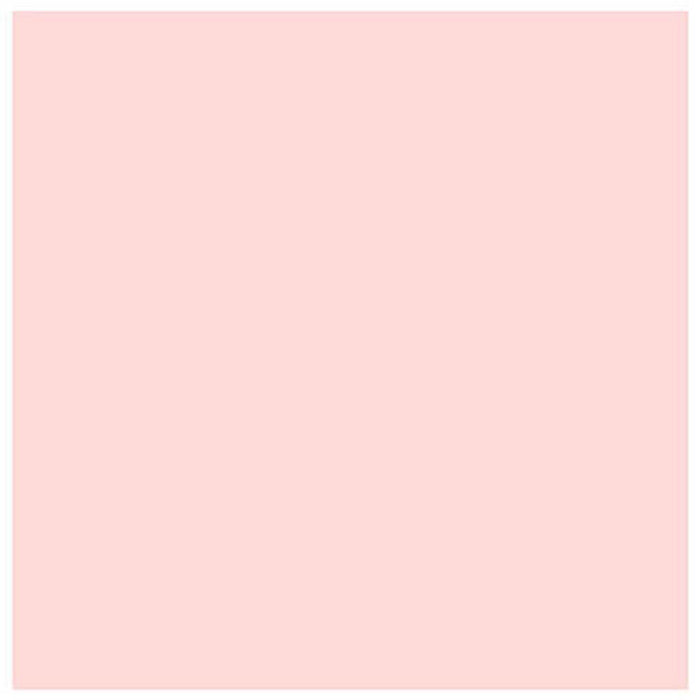 Cardstock Bazzill Card Shoppe Heavyweight 8.5in x 11in Rose Quartz