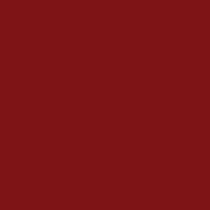 Bazzill Cardstock Paper Red Hots 8.5in x 11in