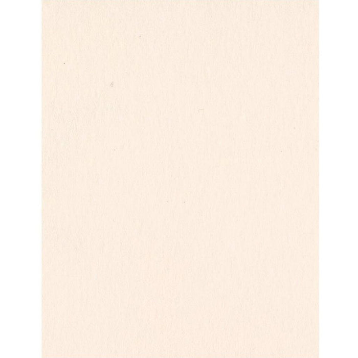 Bazzill Card Shoppe Pale Rose Heavyweight Cardstock 8.5in x 11in