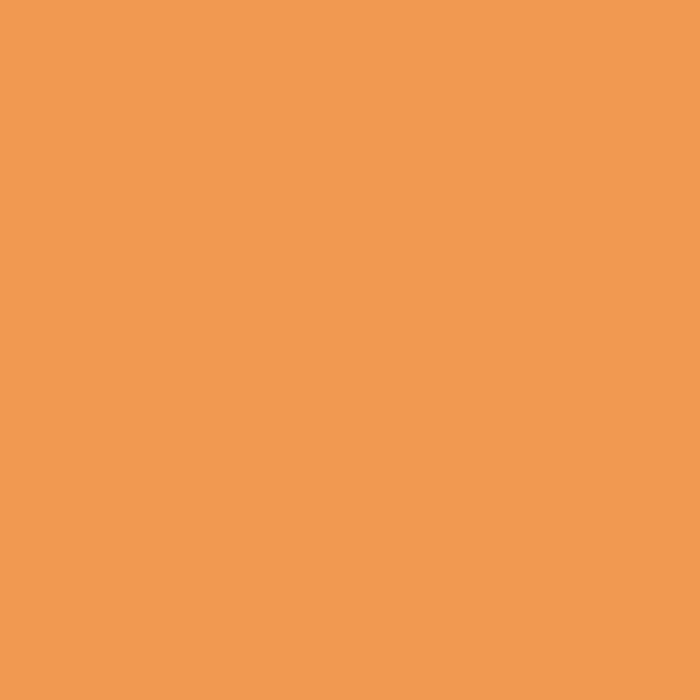 Bazzill Cardstock Paper Citrus Slice 8.5in x 11in