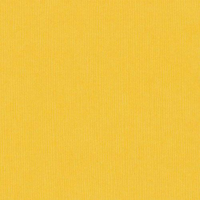 Cardstock Bazzill 8.5 x 11 Marshmallow Chick | Premium Colored Cardstock