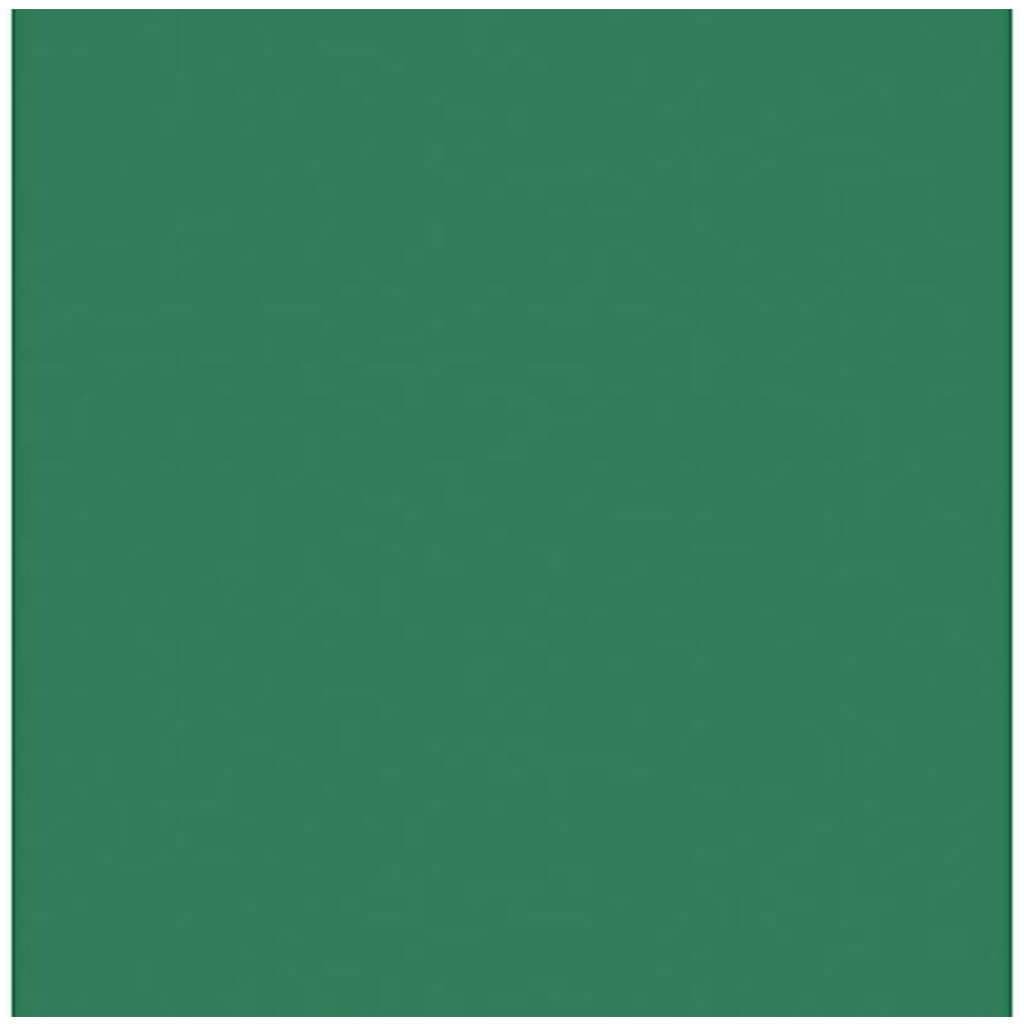 Cardstock Bazzill Card Shoppe Heavyweight 8.5in x 11in Evergreen