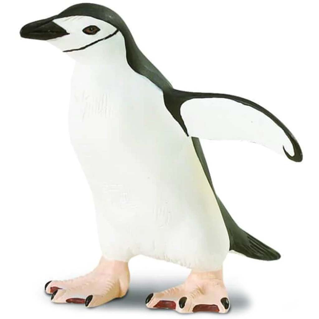 Chinstrap Penguin 